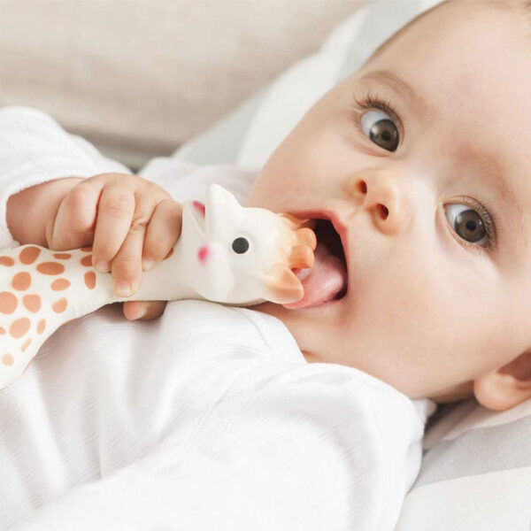 Verlain Natural Teething Toy – Safe & Soothing Baby Teether - Image 5